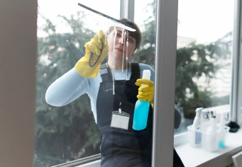 Nettoyage de vitres intérieures et extérieures à Bilieu